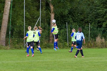 Bild 152 - Frauen SV Neuenbrook/Rethwisch - SG Ratekau Strand 08 : Ergebnis: 0:3